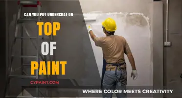 Revamping Your Ride: Undercoat Over Paint - A Guide