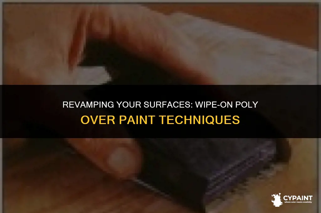 can you put wipe on poly over paint