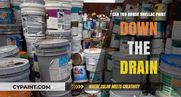 Safely Disposing of Shellac Paint: Drain Considerations and Best Practices