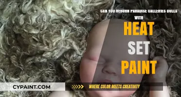 Reborn Paradise Galleries Dolls: Heat Set Paint Techniques Explained