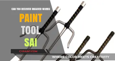 Recovering Unsaved Artwork in Paint Tool SAI: Tips and Tricks