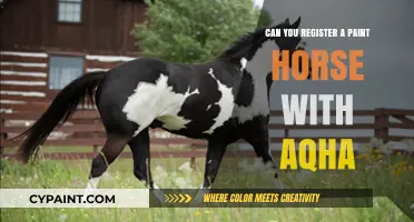 Exploring AQHA Registration for Paint Horses: A Comprehensive Guide