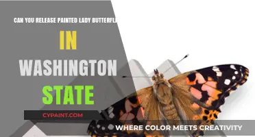 Painted Ladies in Washington: Release and Relocate?