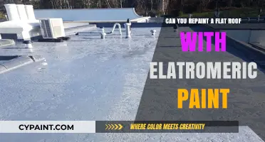 Revamping Flat Roofs: Electromeric Paint Application