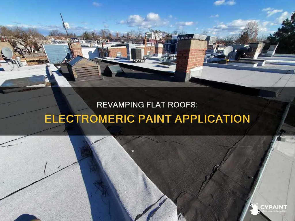 can you repaint a flat roof with elatromeric paint
