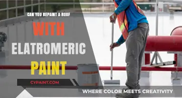 Revamping Your Roof: The Benefits of Elastomeric Paint