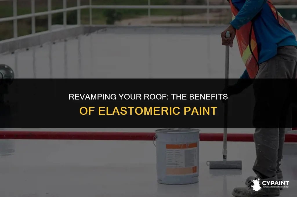 can you repaint a roof with elatromeric paint