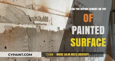 Repairing Cement on Painted Surfaces: A Possible Fix?