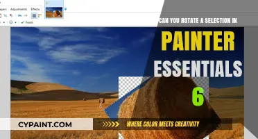 How to Rotate Selections in Painter Essentials 6