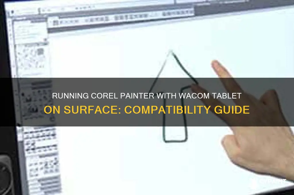 can you run corel painter and wacom tablet on surface
