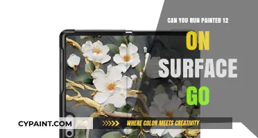 Exploring Painter 12 Compatibility with Surface Go: A Comprehensive Guide