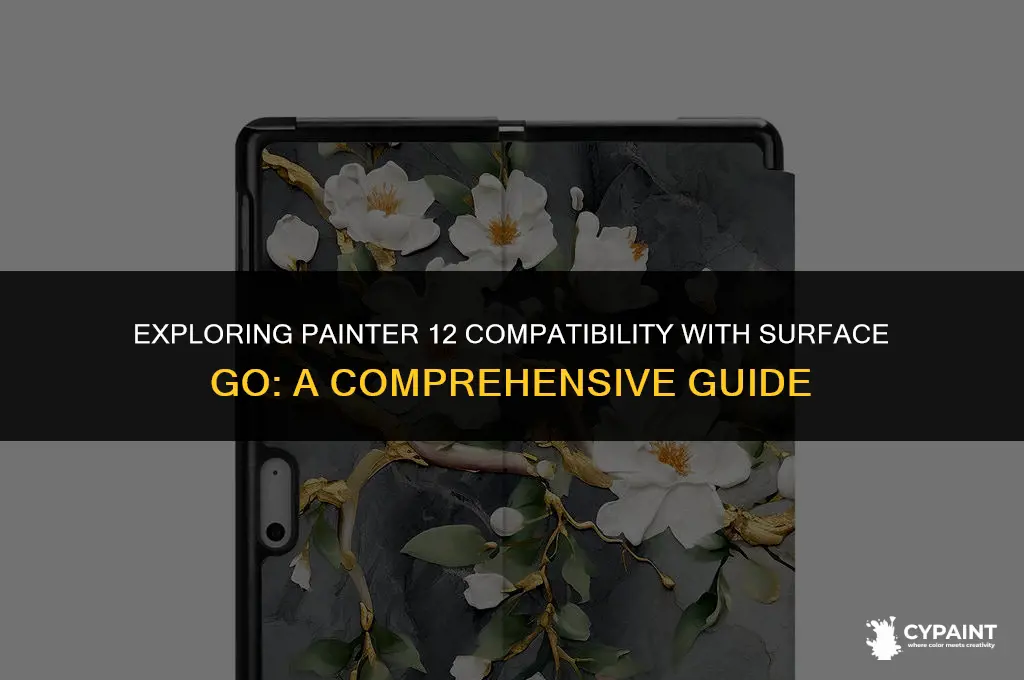 can you run painter 12 on surface go