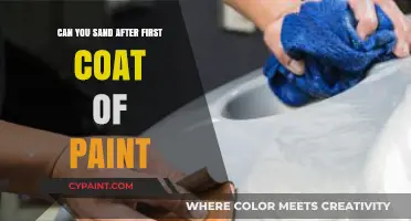 Smooth Finish: Sanding After the First Coat of Paint