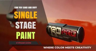 Reviving Your Ride: The Art of Sanding and Buffing Single Stage Paint