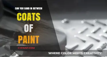 Mastering the Art of Sanding Between Paint Coats