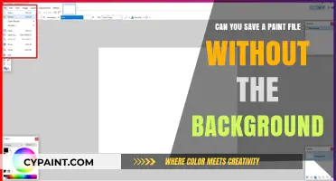 How to Remove Paint Backgrounds and Save Files