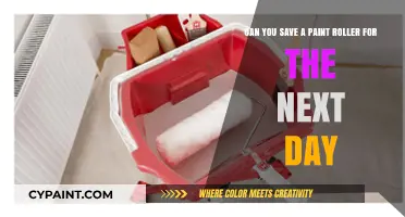 Save Your Paint Roller Overnight: Tips for Next-Day Reuse