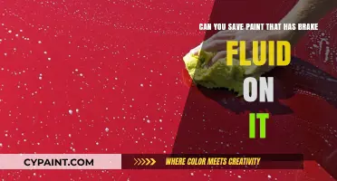 Saving Paint Contaminated with Brake Fluid: Is It Possible?