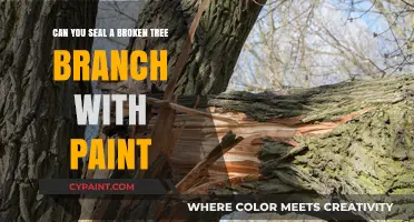 Sealing Broken Tree Branches: Does Paint Help?