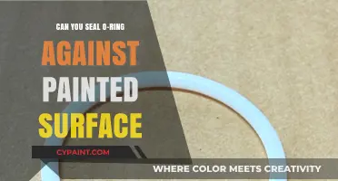 Sealing O-Rings Against Painted Surfaces: A Comprehensive Guide