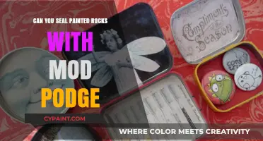 Sealing Painted Rocks: A Mod Podge Guide for Crafters