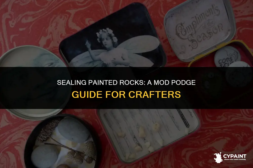 can you seal painted rocks with mod podge