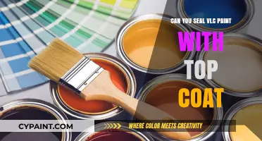 Sealing VLC Paint: Top Coat Tips for Durability and Shine
