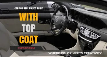 Sealing the Deal: Can You Top Coat Volico Paint?
