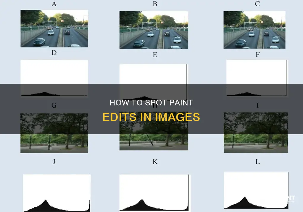 can you see paint edits made to an image