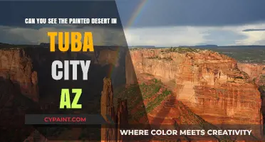 Exploring Tuba City: Painted Desert Views and Hidden Gems