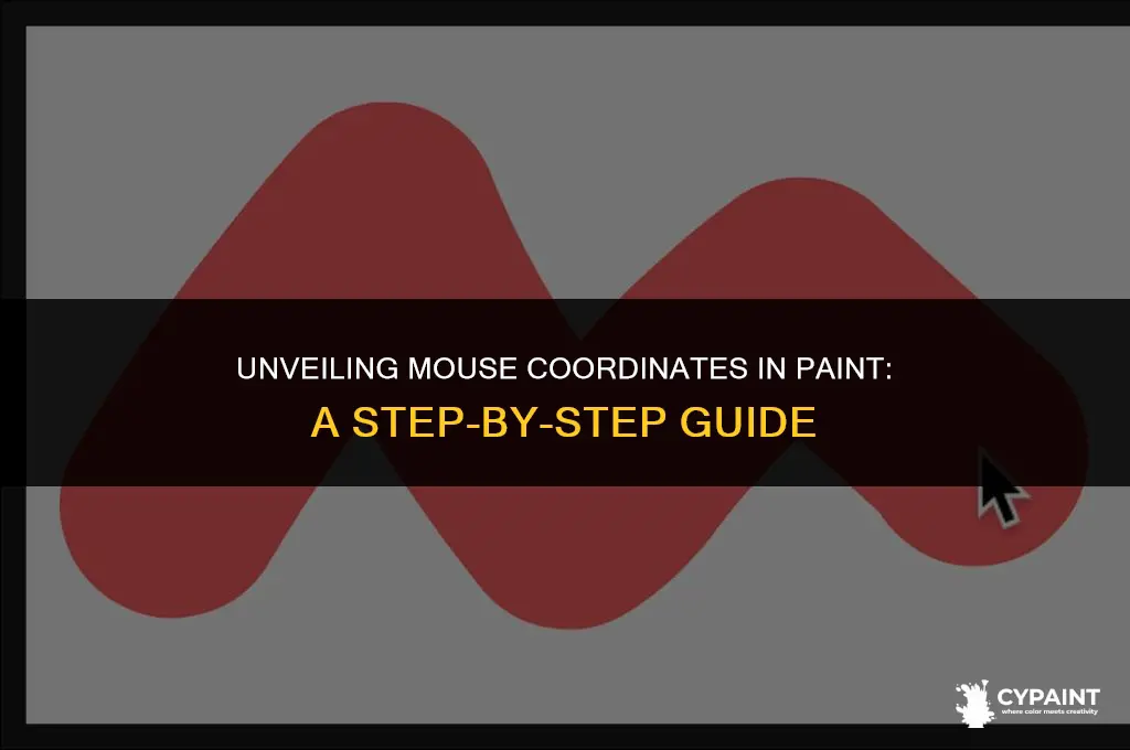 can you see your mouse coordinates in paint