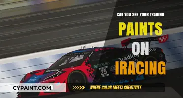 Unleashing Creativity: Customizing Your iRacing Experience with Trading Paints