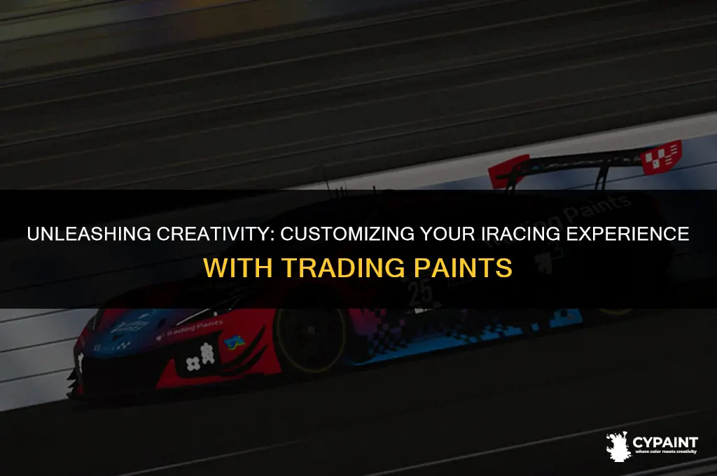can you see your trading paints on iracing