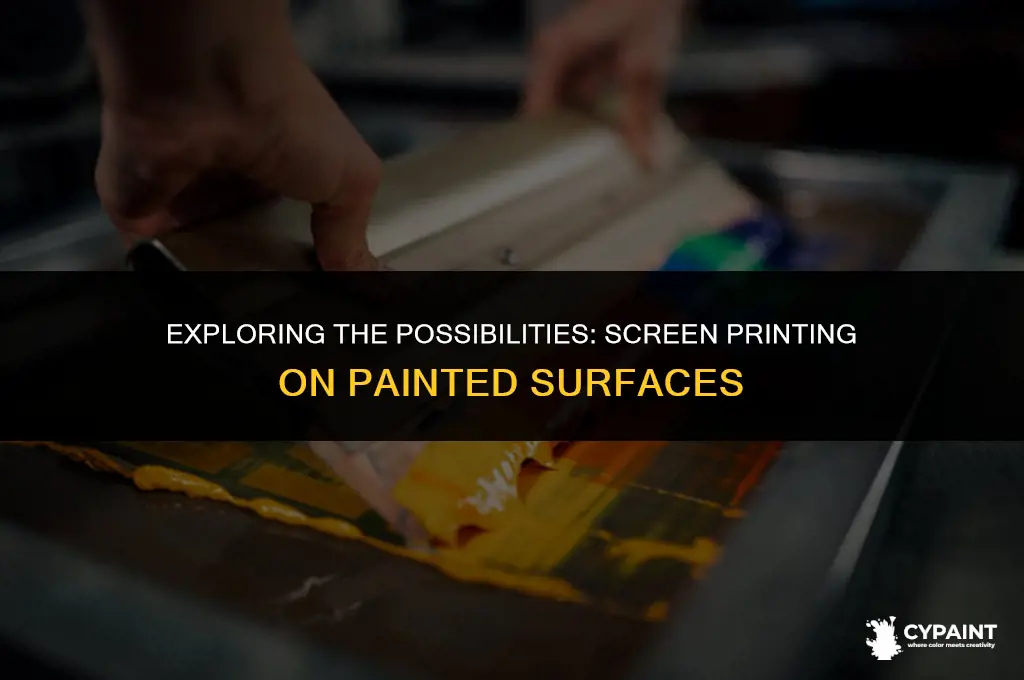 can you set a screen in the paint