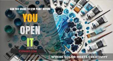 Shaking vs. Stirring: The Right Way to Mix Paint Before Use