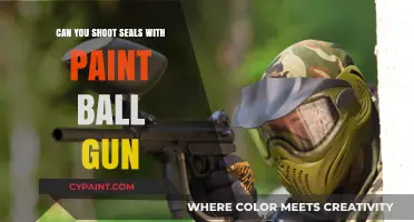Exploring the Ethics and Impact of Using Paintball Guns on Seals
