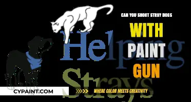 Humane Alternatives: Addressing Stray Dog Issues with Paint Guns?