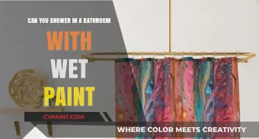 Wet Paint: Can You Shower Safely?