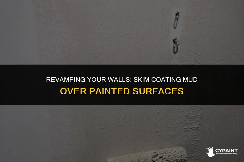 can you skim coat mud over painted surfaces