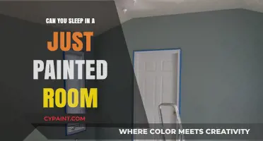 Fresh Paint, Fresh Dreams: Can You Sleep in a Just Painted Room?