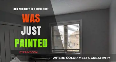 Fresh Paint, Sound Sleep? Tips for Sleeping in a Newly Painted Room