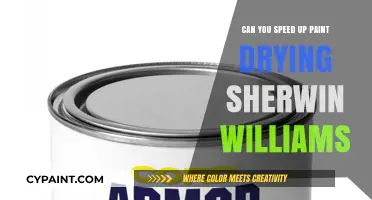 Accelerating Paint Drying: Sherwin-Williams' Quick-Dry Solutions