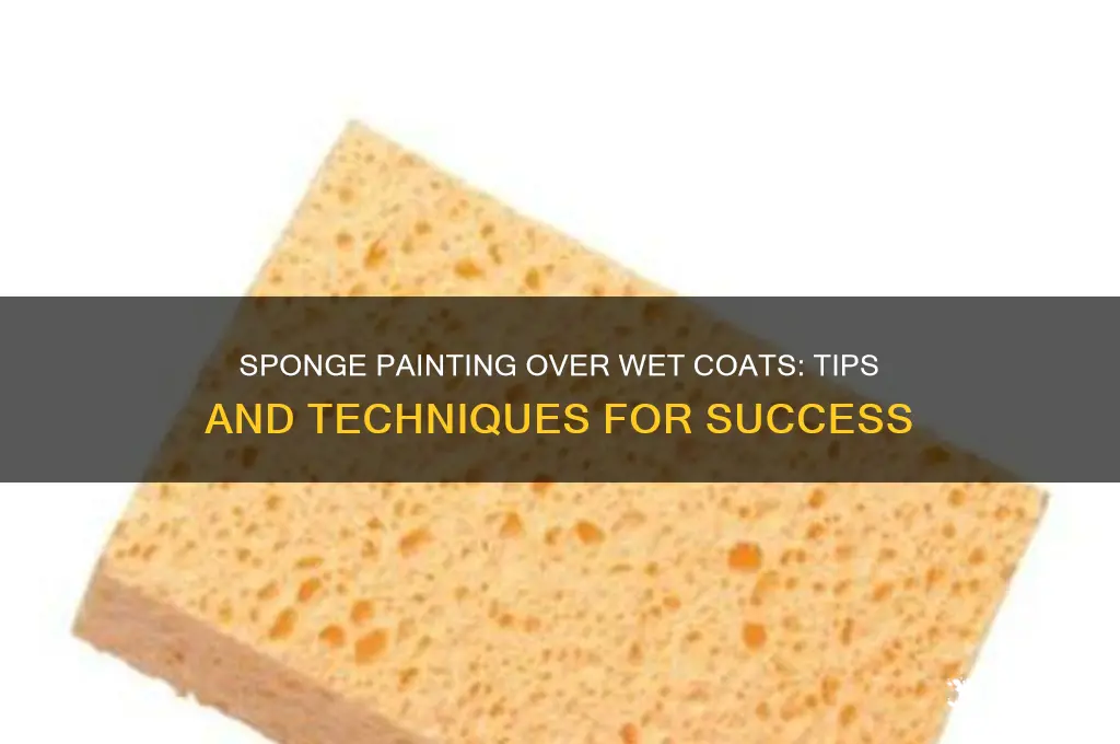 can you sponge paint while the first coat is wet