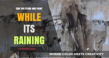 Weathering the Storm: Staining and Painting in Rainy Conditions