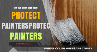 Reviving Your Walls: Can You Stain Over Paint? Protect Painters' Guide