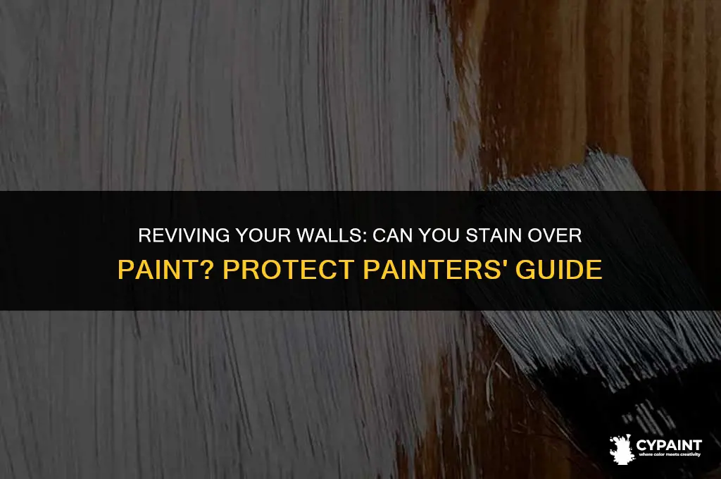 can you stain over paint protect paintersprotect painters