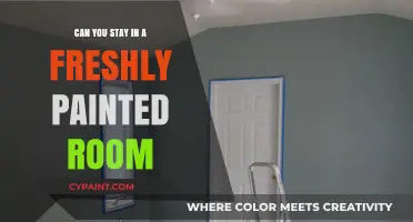 Freshly Painted Room: Safe to Stay or Time to Wait?