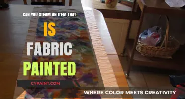 Steaming Fabric Paint: What You Need to Know