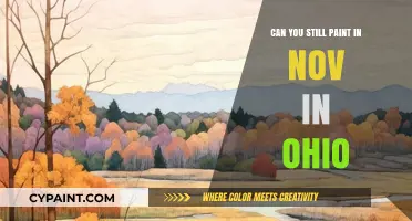November in Ohio: A Painter's Guide to Capturing Autumn's Essence