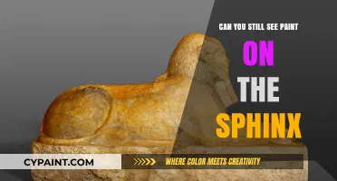 Unveiling the Sphinx: Traces of Ancient Pigments Persist